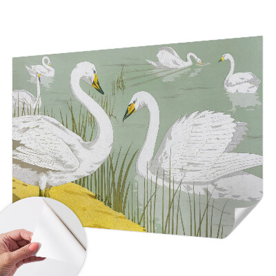 Stick-on wall mural Swan Lake
