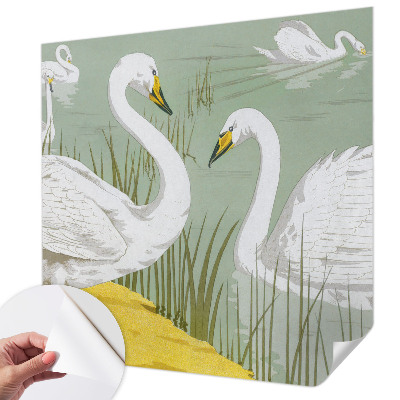 Stick-on wall mural Swan Lake
