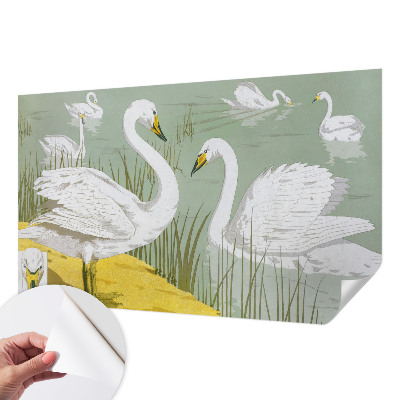 Stick-on wall mural with a Swan Lake design