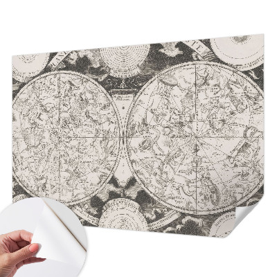 Removable wall mural wallpaper Star map
