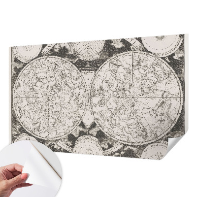 Removable wall mural wallpaper with a star map design