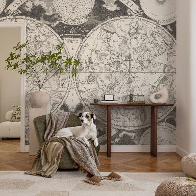 Removable wall mural wallpaper with a star map design
