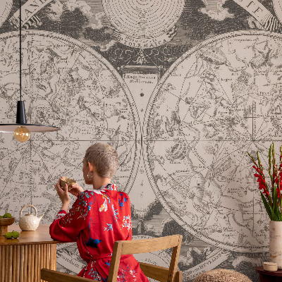 Removable wall mural wallpaper Star map