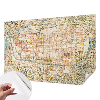 Peel and stick wall mural for living room Antique map