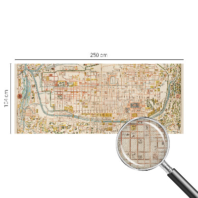 Peel and stick wall mural for living room with an antique map design