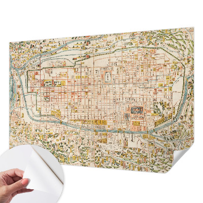 Peel and stick wall mural for living room with an antique map design