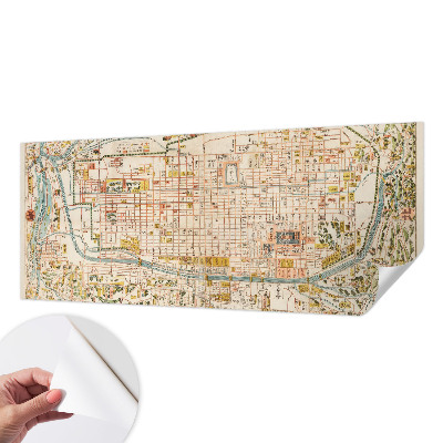 Peel and stick wall mural for living room with an antique map design