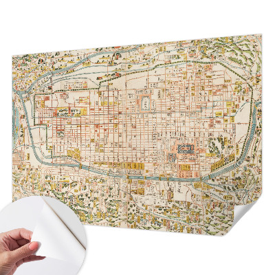 Peel and stick wall mural for living room with an antique map design