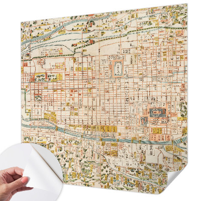 Peel and stick wall mural for living room with an antique map design