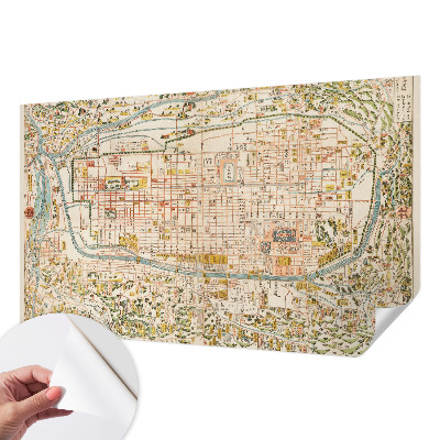 Peel and stick wall mural for living room with an antique map design