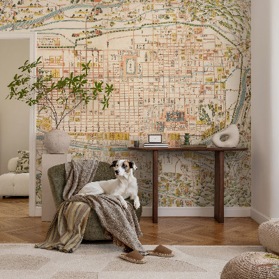 Peel and stick wall mural for living room with an antique map design