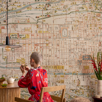 Peel and stick wall mural for living room with an antique map design