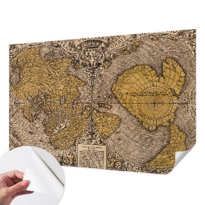 3D wall mural with a historical cartography motif