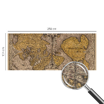 3D wall mural Historical cartography