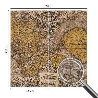 3D wall mural Historical cartography