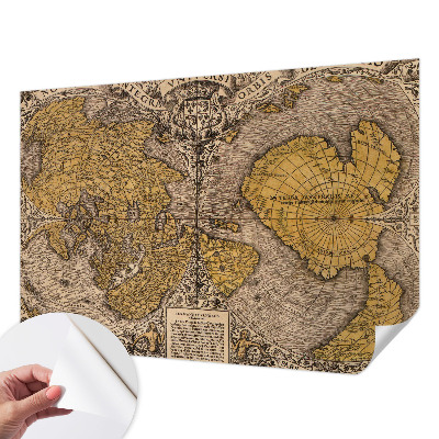 3D wall mural with a historical cartography motif