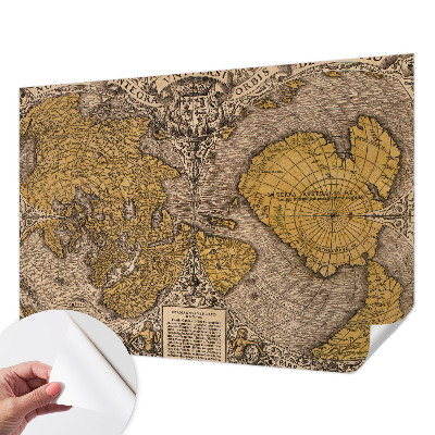 3D wall mural with a historical cartography motif