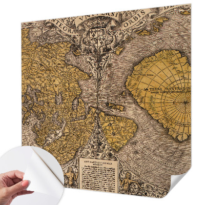 3D wall mural Historical cartography