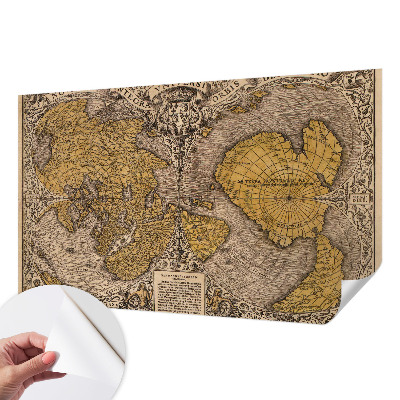 3D wall mural Historical cartography