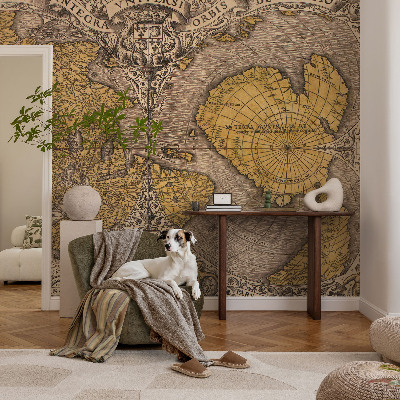 3D wall mural with a historical cartography motif