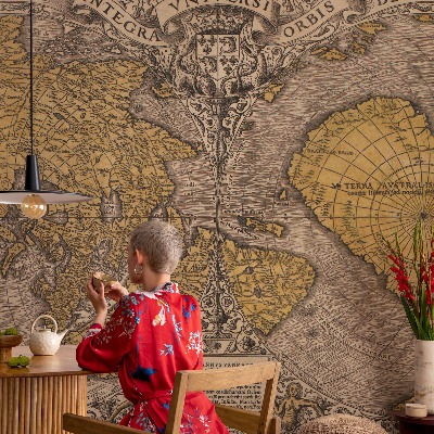 3D wall mural Historical cartography