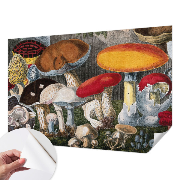 Nursery wall mural with a botanical mushroom design