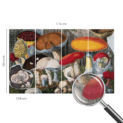 Nursery wall mural Botanical mushrooms
