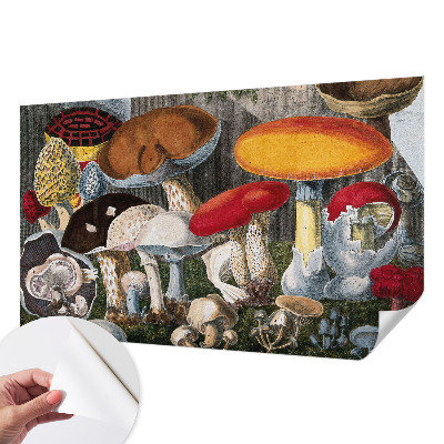 Nursery wall mural with a botanical mushroom design
