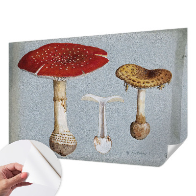 Peel and stick wall mural with engraved mushroom illustrations
