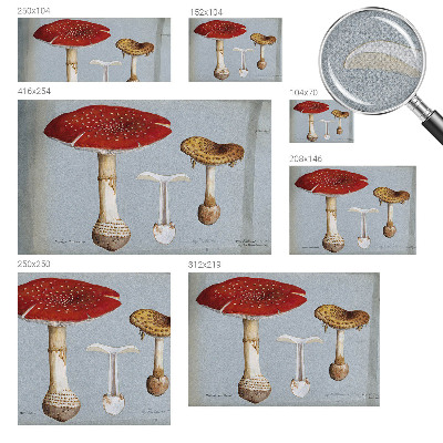 Peel and stick wall mural with engraved mushroom illustrations