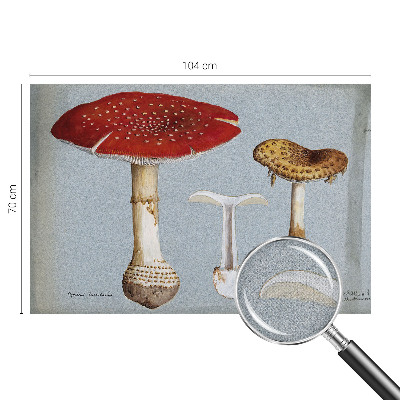Peel and stick wall mural with engraved mushroom illustrations