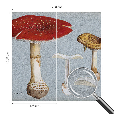 Peel and stick wall mural Mushroom engravings