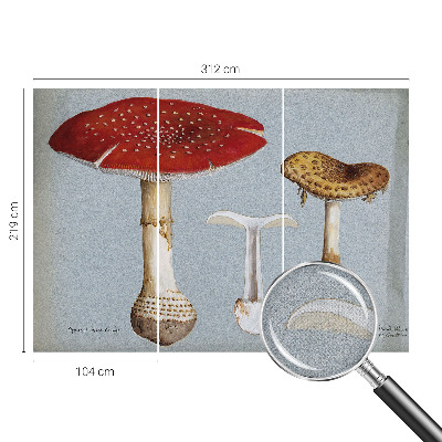 Peel and stick wall mural with engraved mushroom illustrations