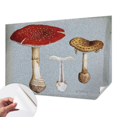 Peel and stick wall mural with engraved mushroom illustrations