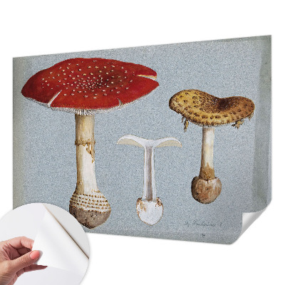 Peel and stick wall mural with engraved mushroom illustrations