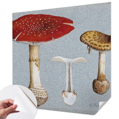 Peel and stick wall mural with engraved mushroom illustrations