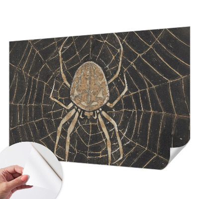 Children's wall mural Spider's web