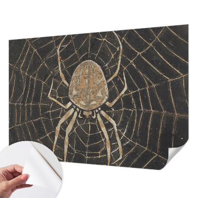 Children's wall mural with a spiderweb design