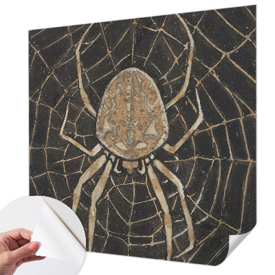 Children's wall mural with a spiderweb design