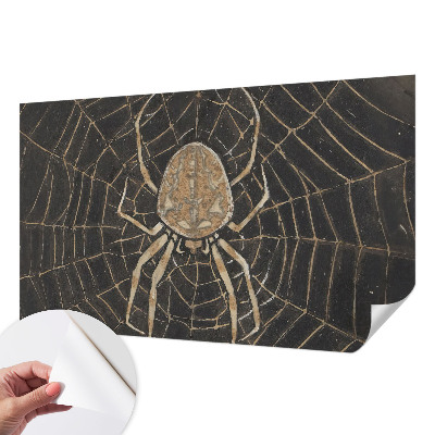 Children's wall mural with a spiderweb design