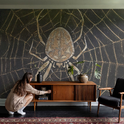 Children's wall mural with a spiderweb design