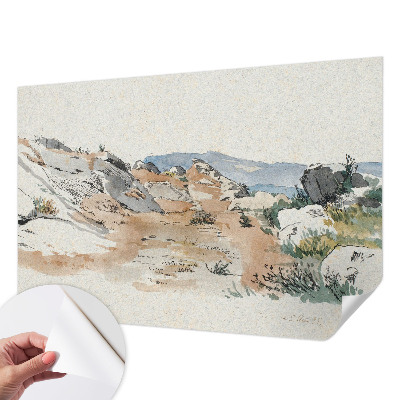 Removable wall mural Rock landscape