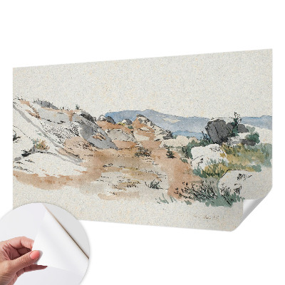 Removable wall mural Rock landscape