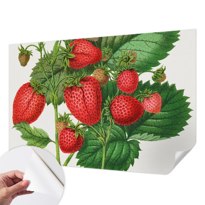 Peel and stick wallpaper mural with a summer fruits design
