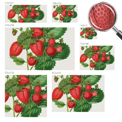 Peel and stick wallpaper mural with a summer fruits design