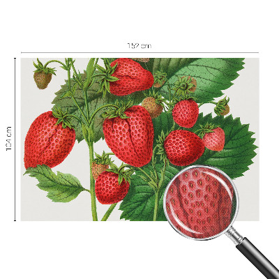 Peel and stick wallpaper mural with a summer fruits design