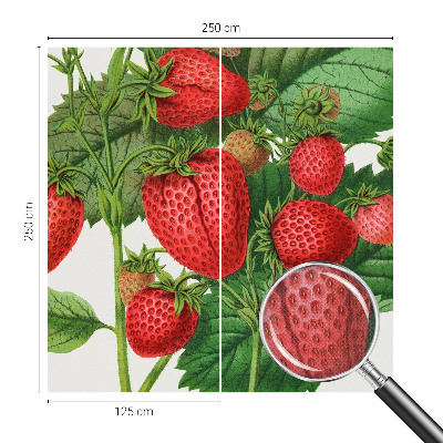 Peel and stick wallpaper mural with a summer fruits design