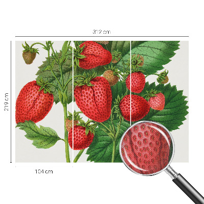Peel and stick wallpaper mural with a summer fruits design