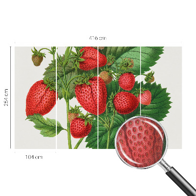 Peel and stick wallpaper mural Summer fruits