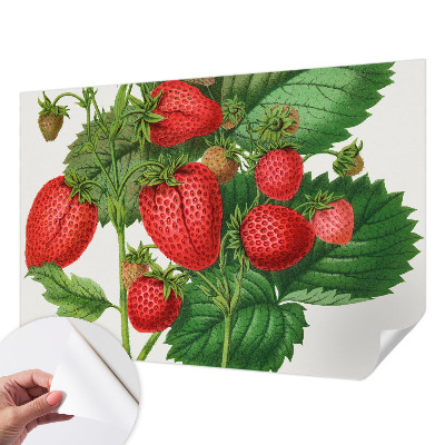 Peel and stick wallpaper mural with a summer fruits design